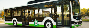 Mit dem Bus zu den Kammerspielen